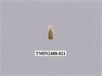 藏品(暗良苔蛾)的圖片